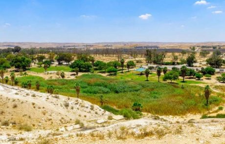ליום האישה הבינלאומי: אתרי מורשת והנצחה של קק"ל לנשים בולטות
