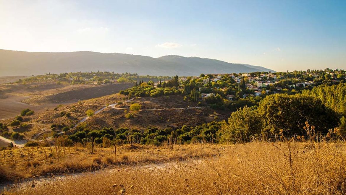 נופים בגן לאומי בית שערים. צילום מנו גרינשפן המלצות לטיולים ופעילויות בחג השבועות ב- 3 גנים לאומיים