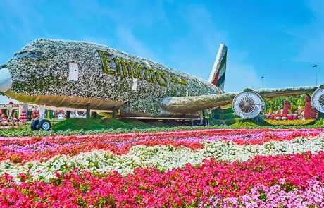 מטוס איירבוס A380 חונה בגן הפרחים הטבעי הגדול בעולם