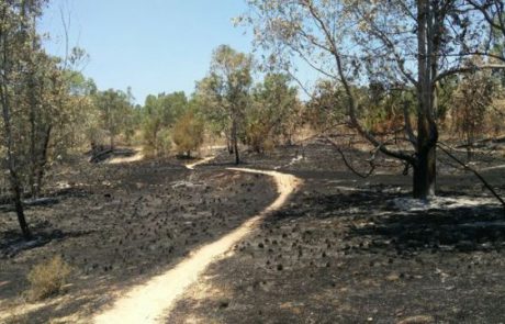 סינגל בארי שילם את מחיר טרור העפיפונים