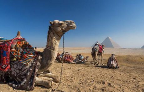 גרמניה ו-UNWTO: מצרים היא מדינת התיירות הצומחת הגדולה באזור