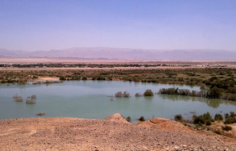 הערבה התיכונה – אתרים תיירותים מרתקים ונופים בראשיתיים