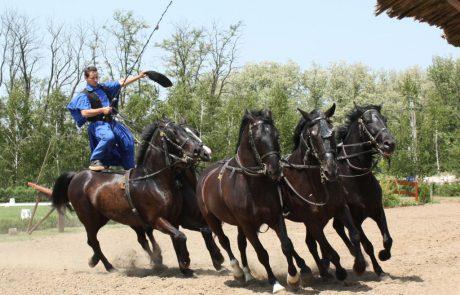 בין בודפשט לדברצן: טוק טוק, ספא וסוסים שמבינים הונגרית