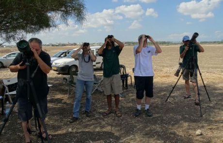 ‏אל הציפור: כולם מוזמנים לספירת הציפורים