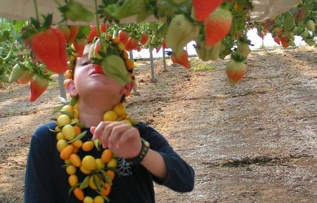 ראשי מועצות ועמותות מהדרום יוזמנו לכנס השנתי של מארגני התיירות